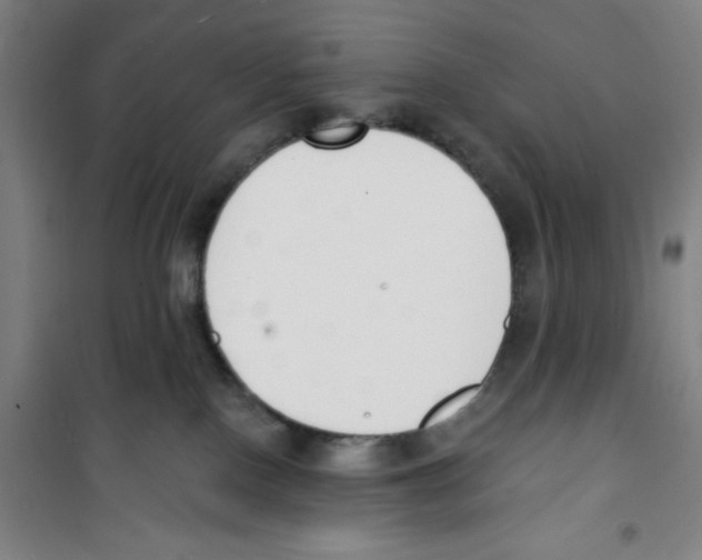 X0000100320090200807031221