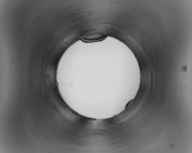 X0000100320092200807031221