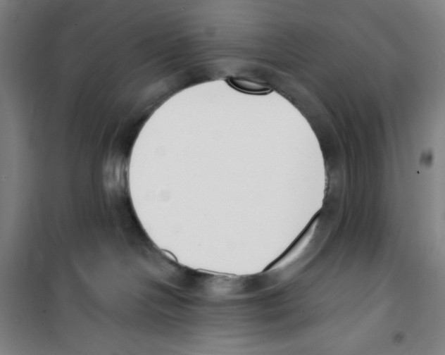 X0000100320094200807031221