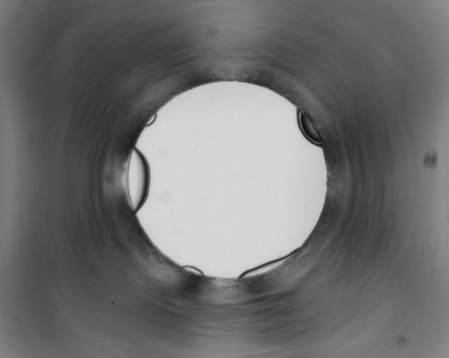 X0000100320095200807031221