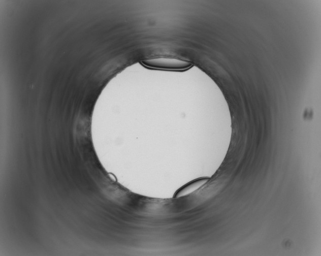 X0000100320096200807031221