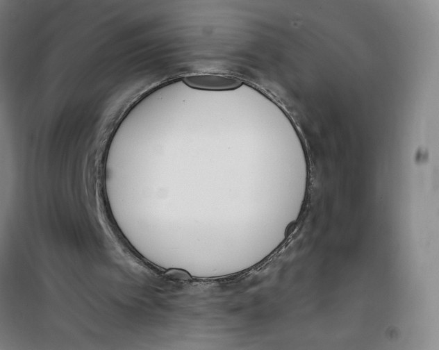 X0000100320097200807031220