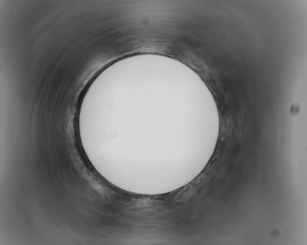 X0000100320098200807031220