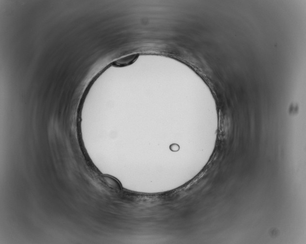 X0000100320099200807031220