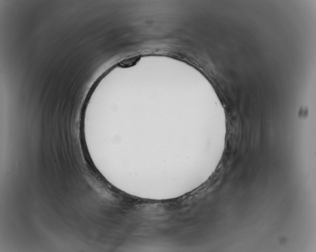 X0000100320100200807031220