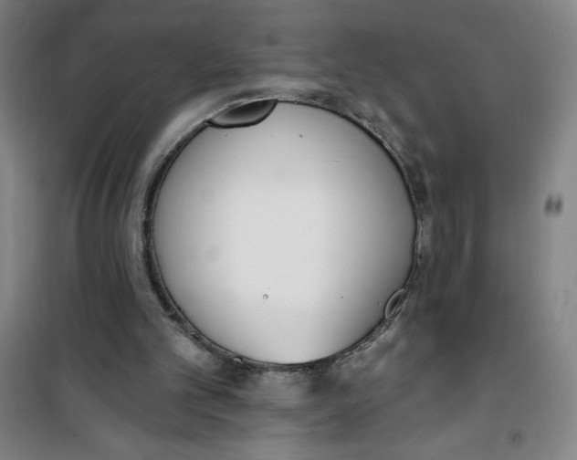 X0000100320101200807031220