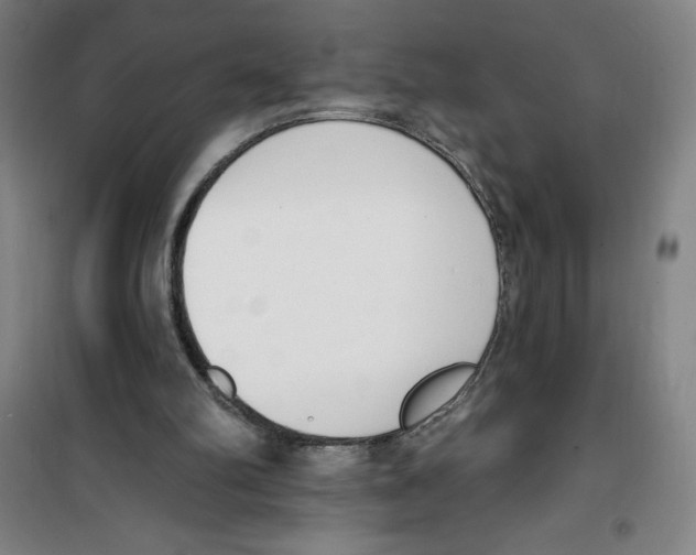 X0000100320102200807031220