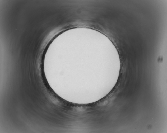 X0000100320103200807031220