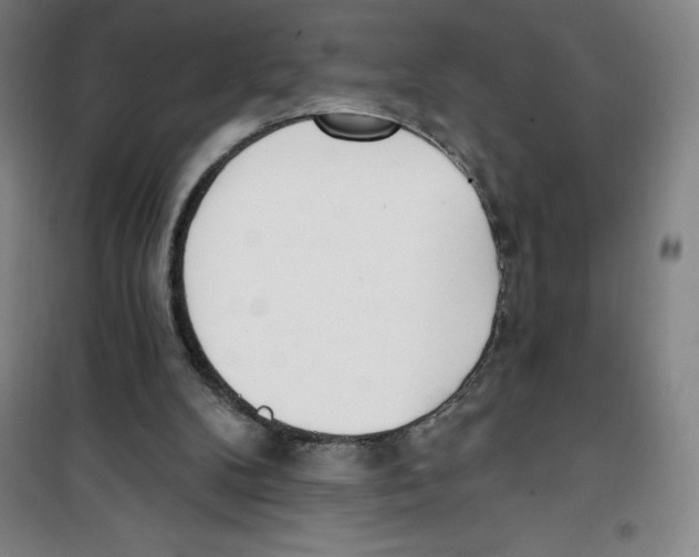 X0000100320104200807031220