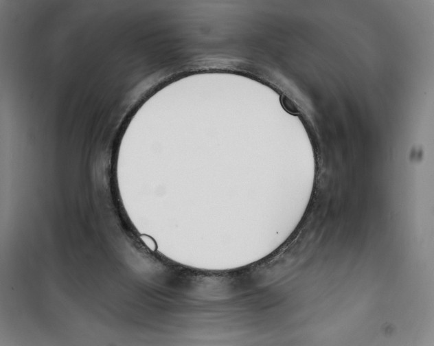 X0000100320107200807031220