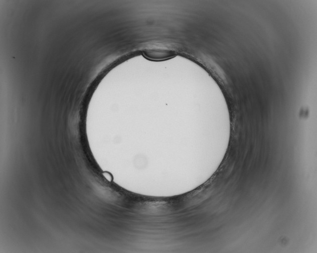 X0000100320108200807031220