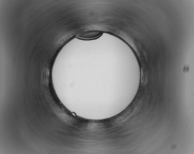 X0000100320109200807031220