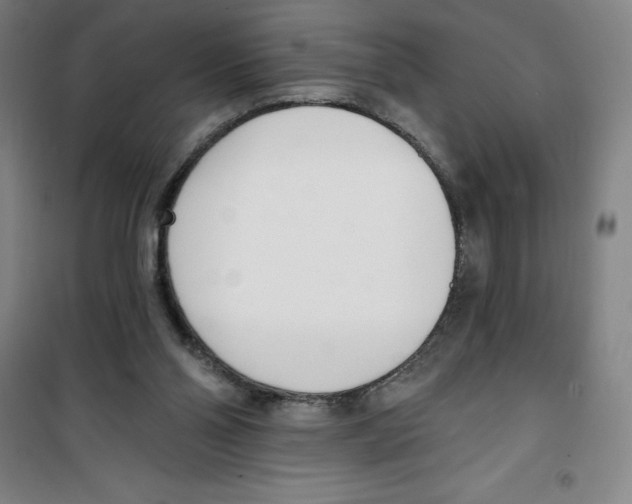 X0000100320110200807031220