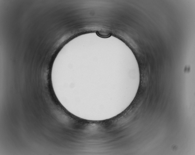 X0000100320111200807031220