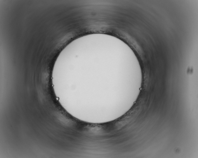 X0000100320113200807031220