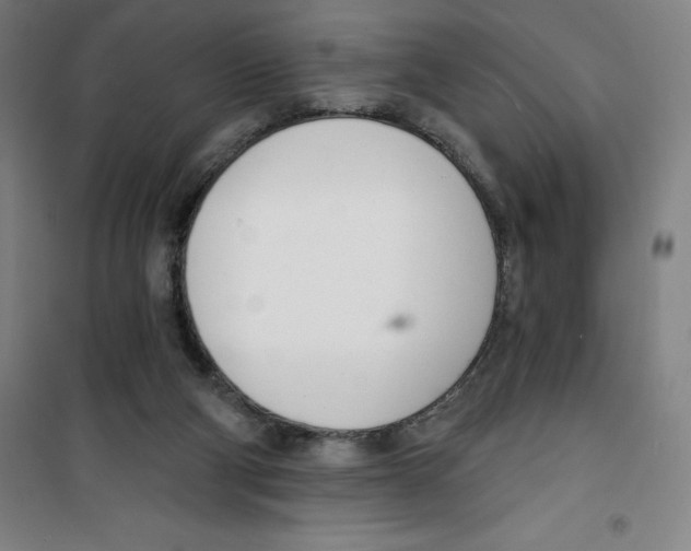 X0000100320114200807031220