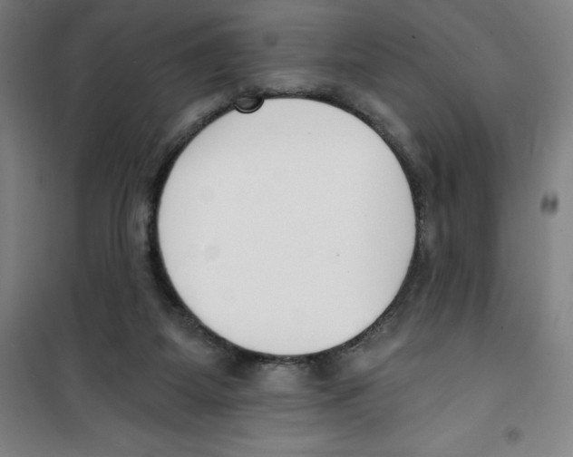 X0000100320115200807031220