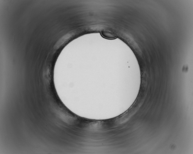 X0000100320116200807031220