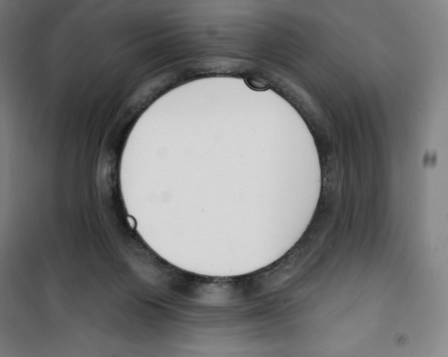 X0000100320119200807031220