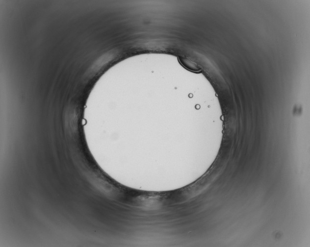 X0000100320120200807031220