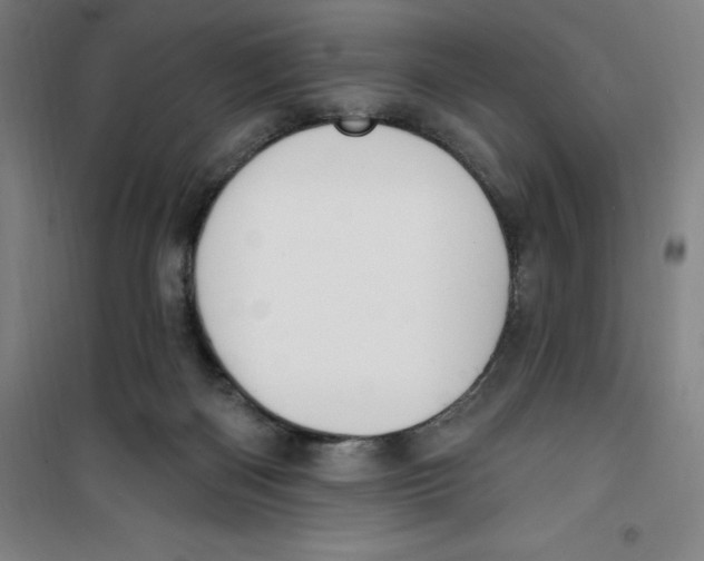 X0000100320122200807031220