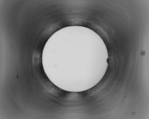 X0000100320123200807031220