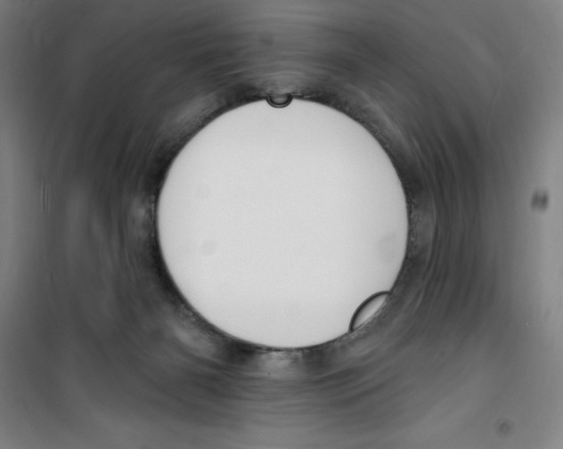 X0000100320126200807031220