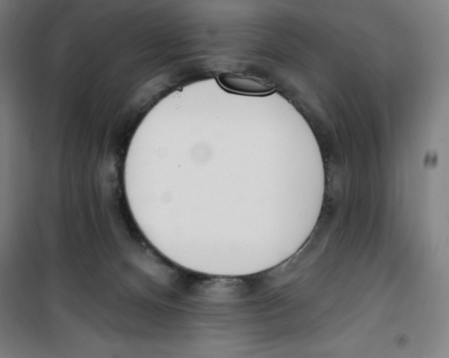 X0000100320128200807031220