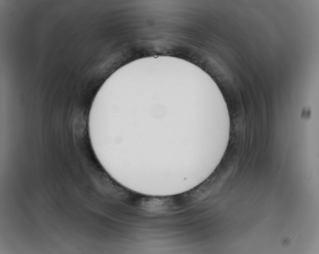 X0000100320129200807031220