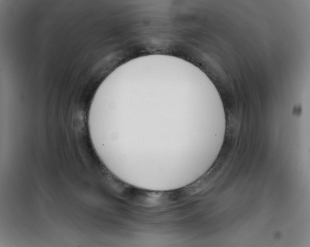 X0000100320130200807031220