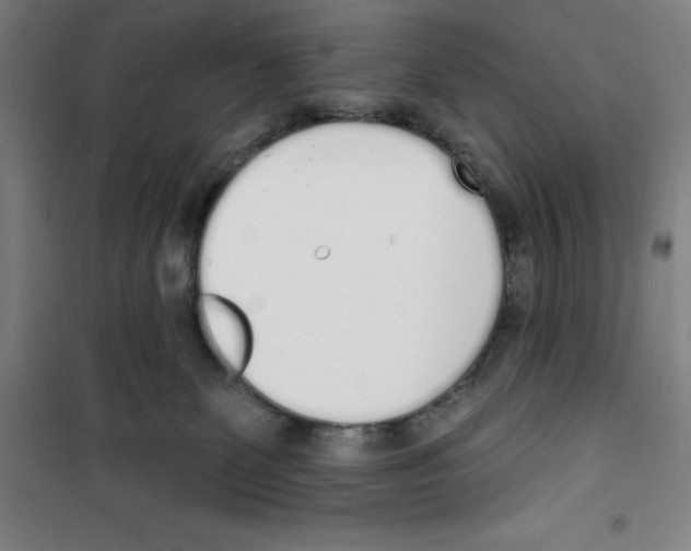 X0000100320131200807031220