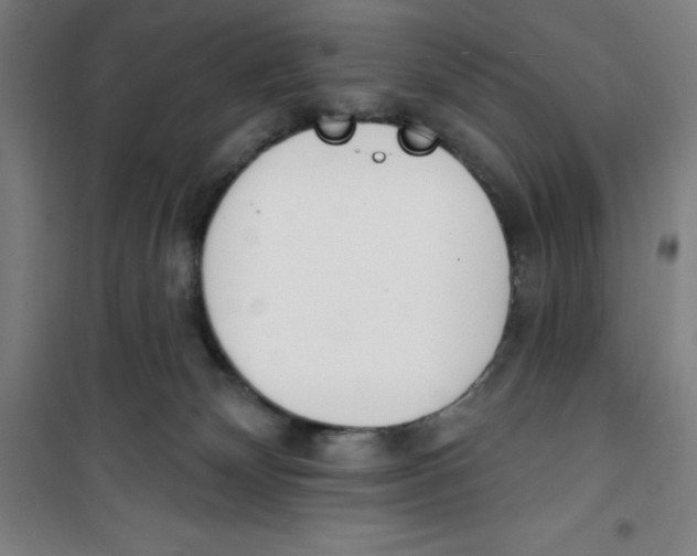 X0000100320132200807031220