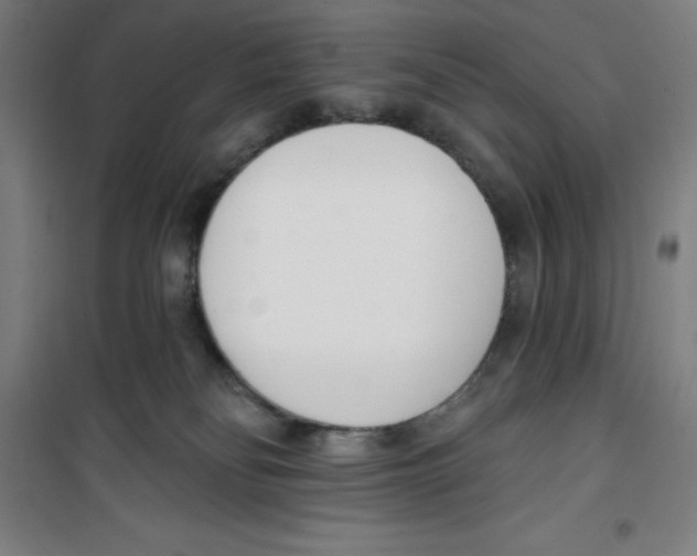 X0000100320134200807031220