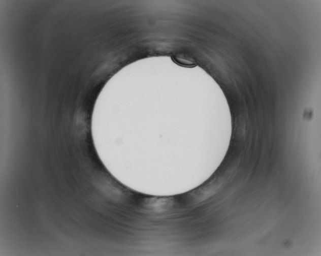 X0000100320135200807031220