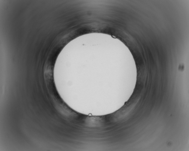 X0000100320137200807031219