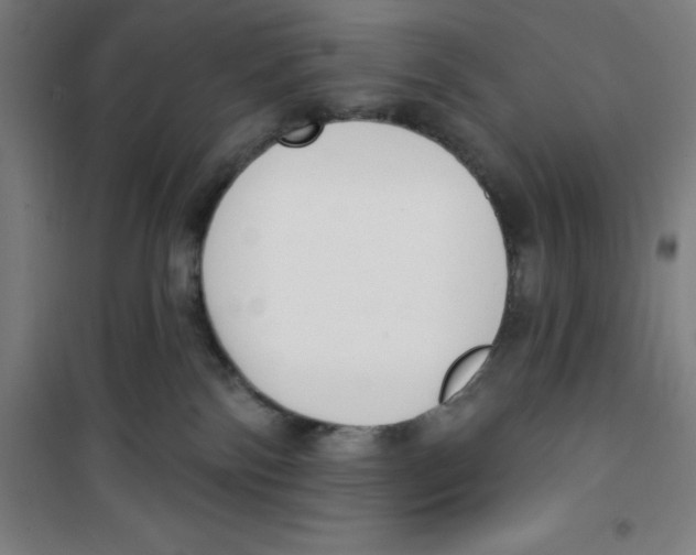 X0000100320138200807031219