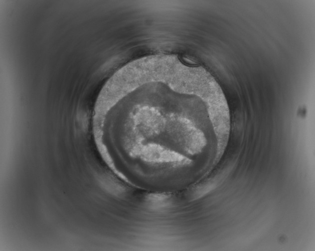 X0000100320139200807031219