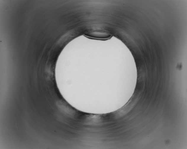 X0000100320140200807031219