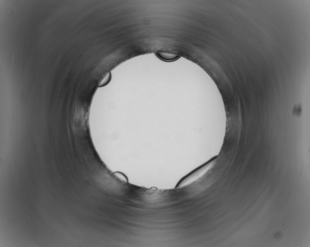 X0000100320142200807031219