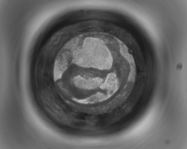 X0000100320143200807031219