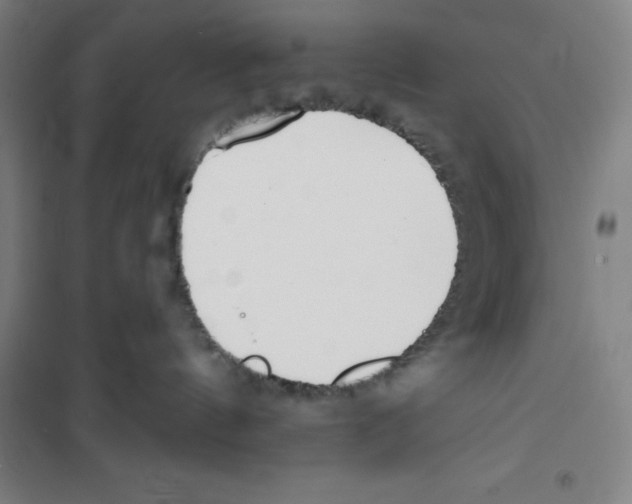 X0000100320144200807031219