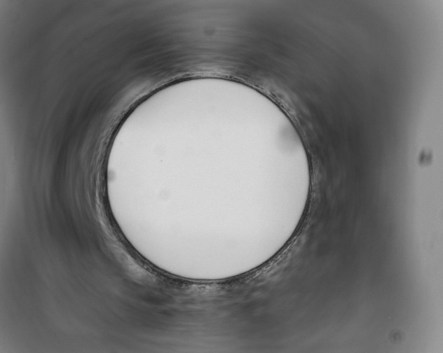 X0000100320145200807031219