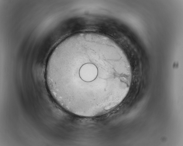 X0000100320146200807031219