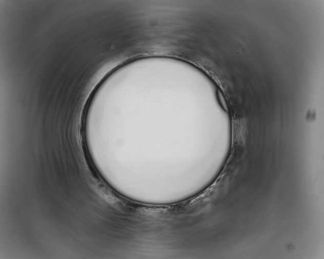 X0000100320147200807031219