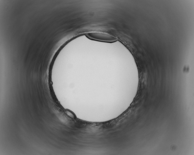 X0000100320148200807031219