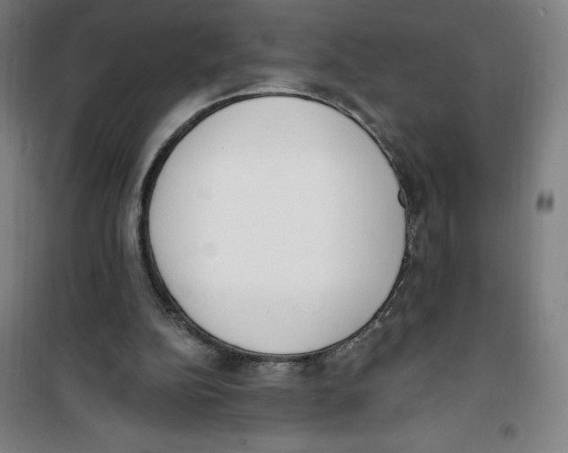 X0000100320152200807031219