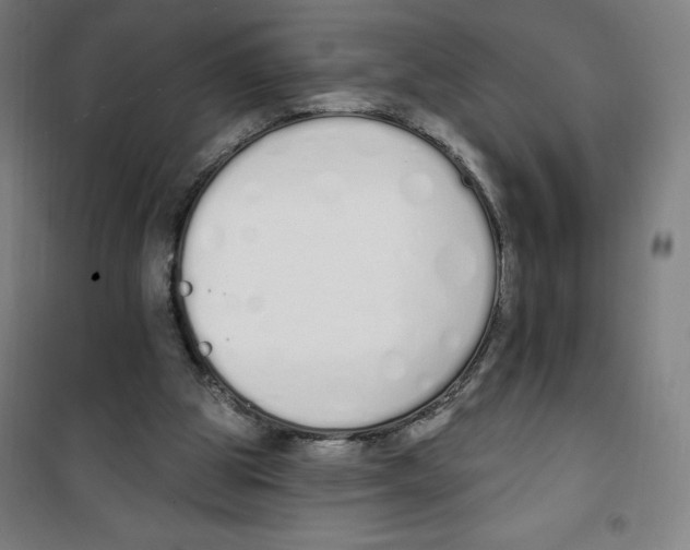 X0000100320153200807031219