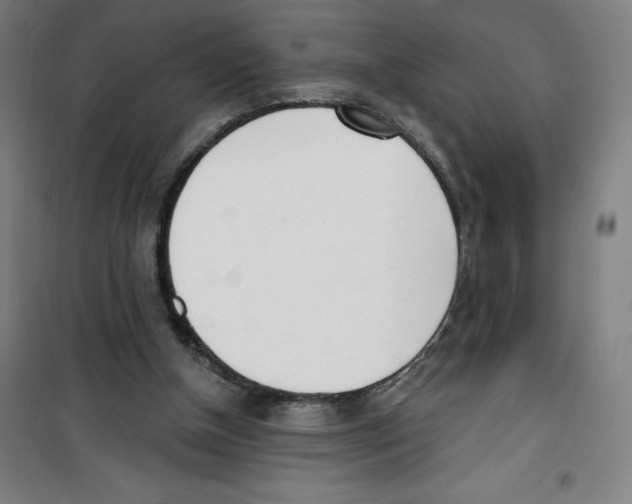 X0000100320154200807031219