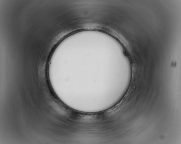 X0000100320155200807031219