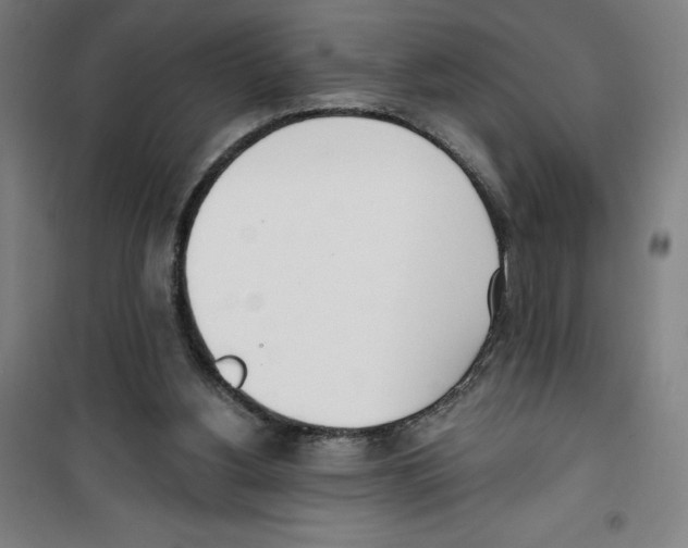 X0000100320156200807031219